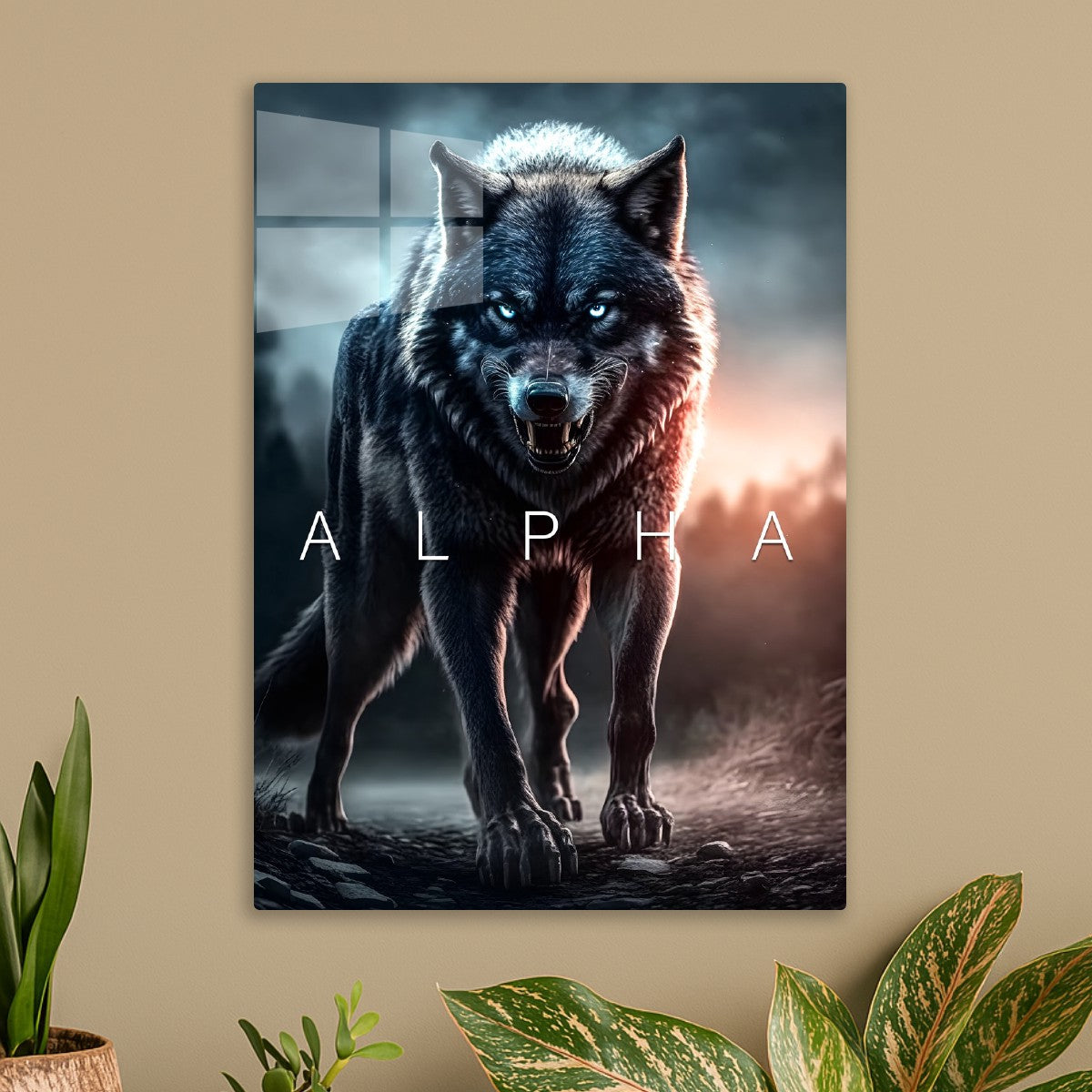 Wild wolf alpha