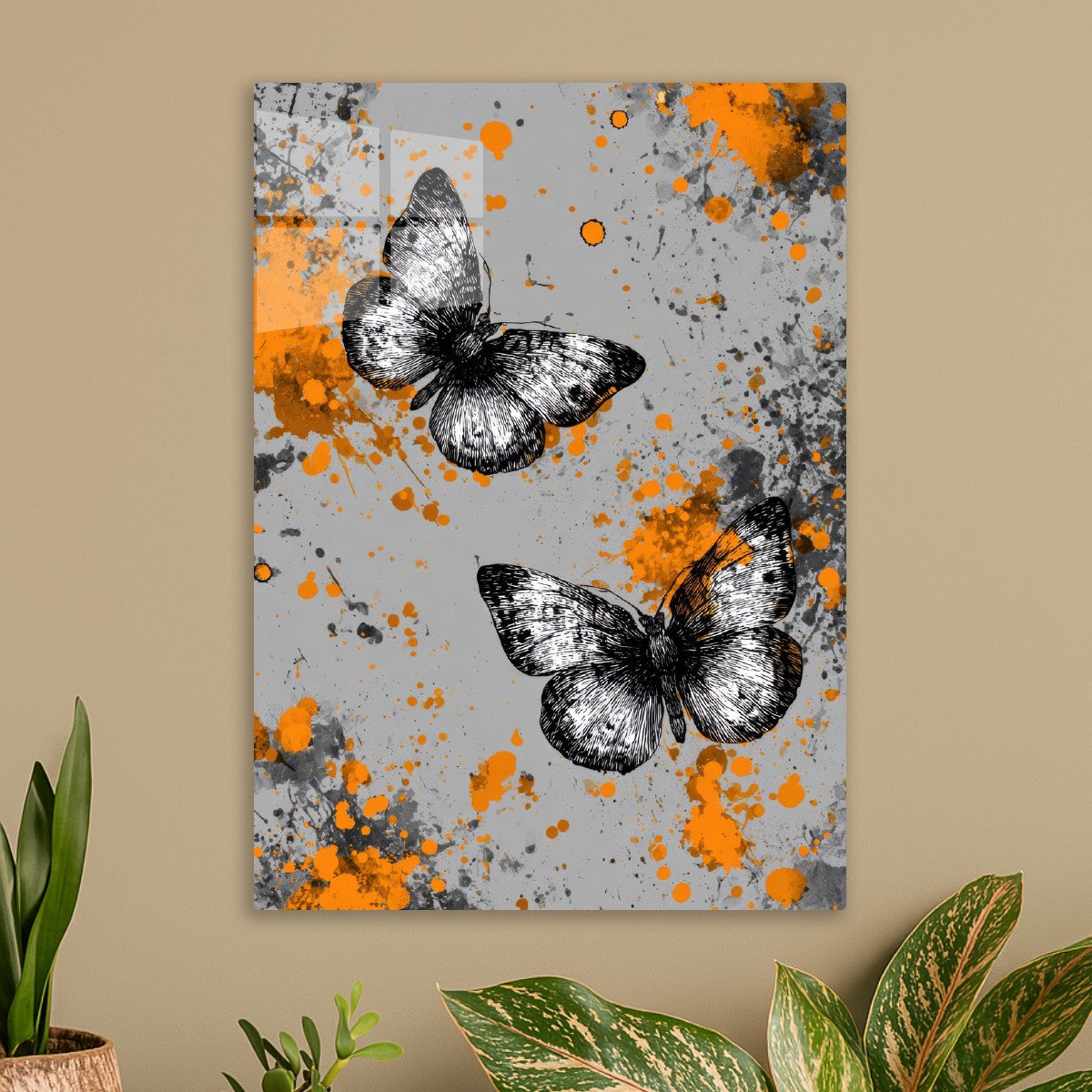 Black and White Butterflies