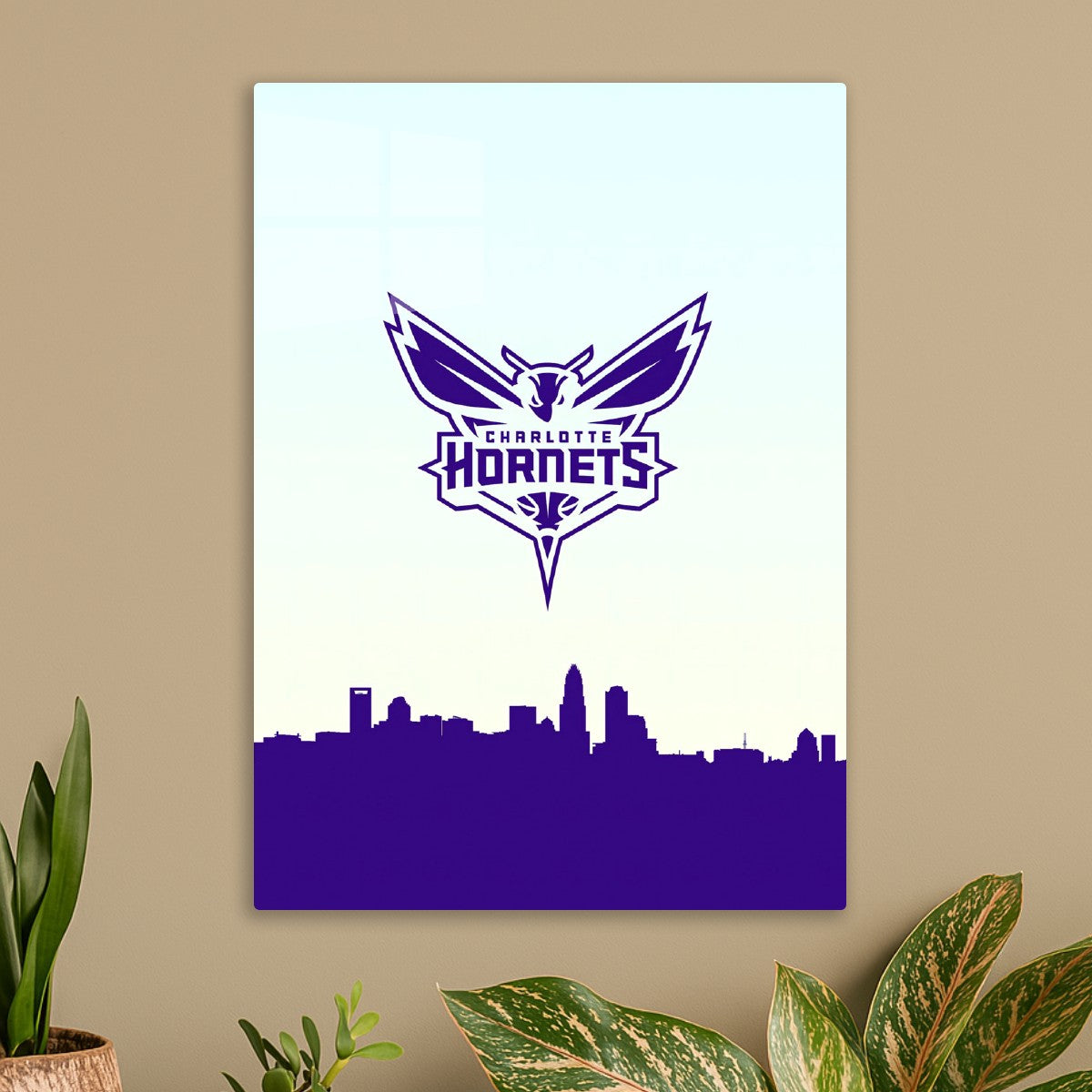 Charlotte Hornets 