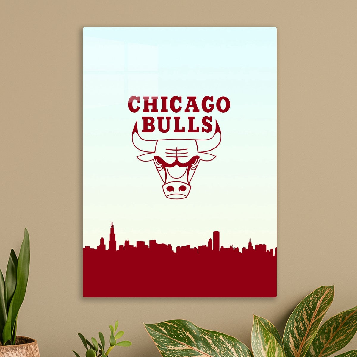 Chicago Bulls 