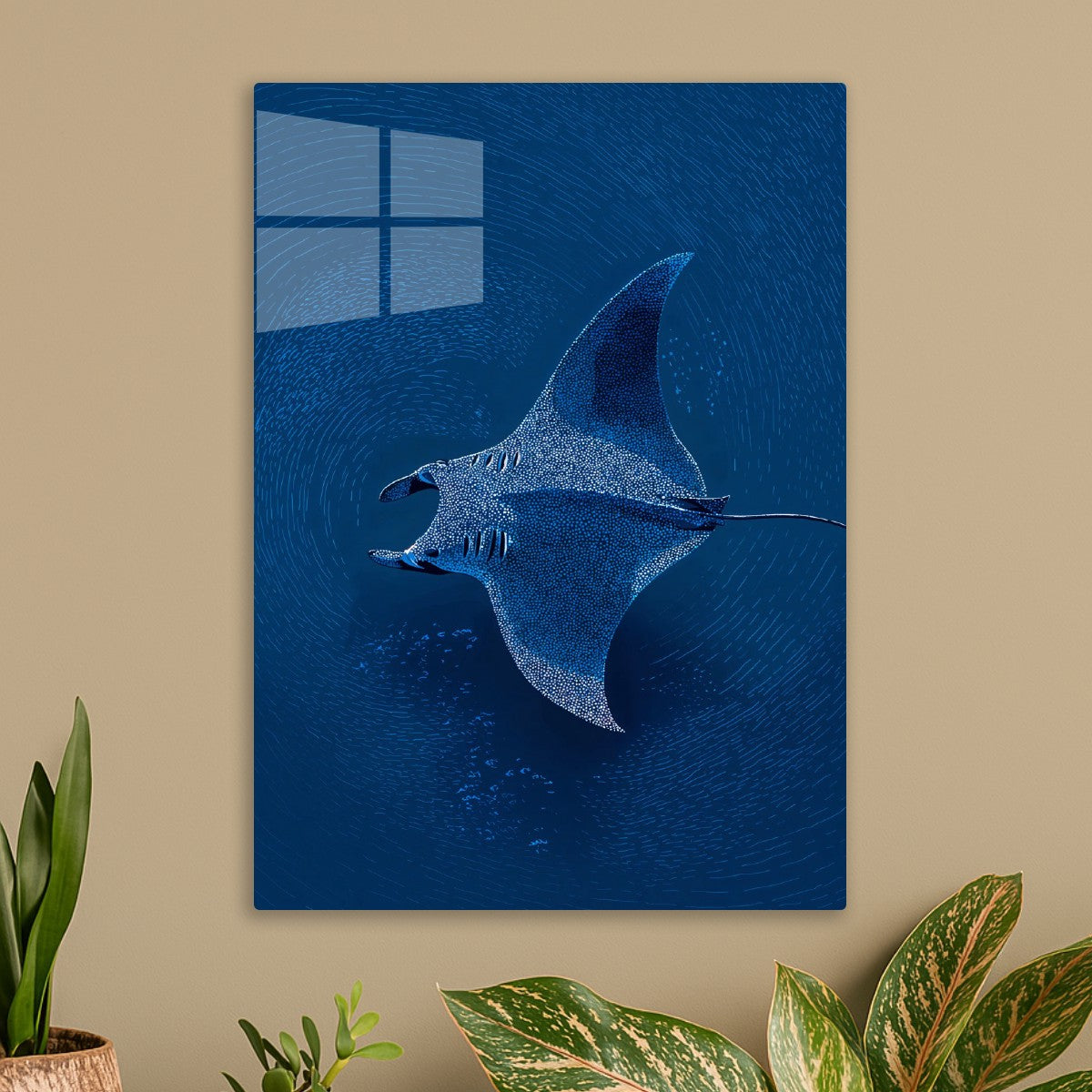 Manta Ray in Motion