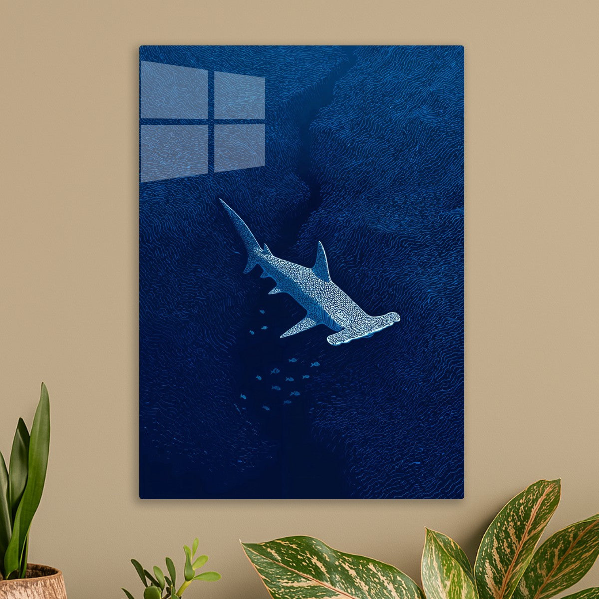 Hammerhead Shark Drift