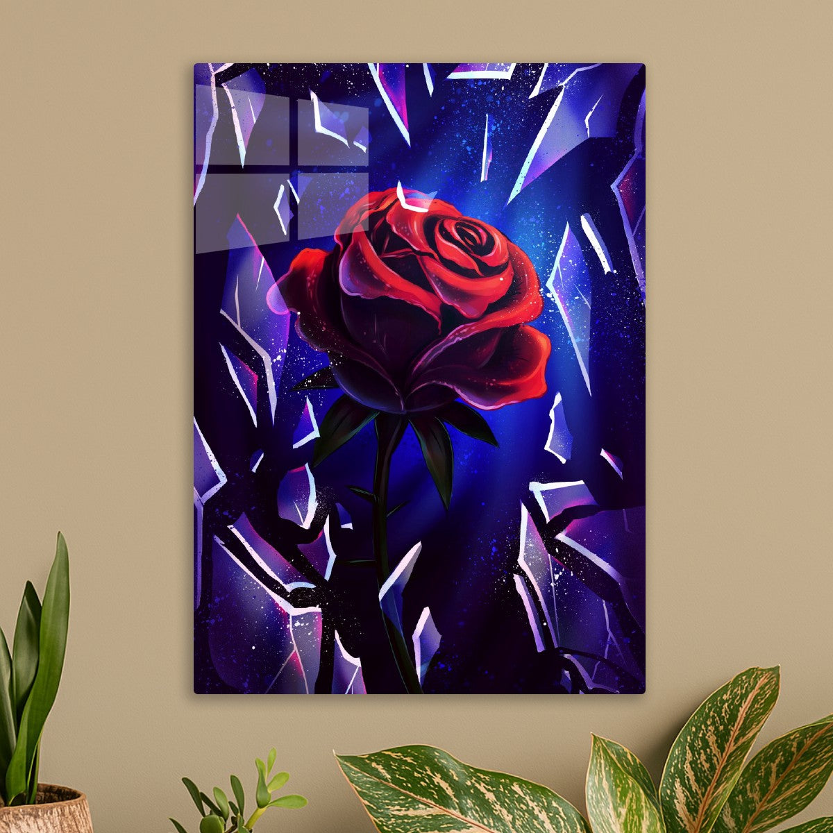 Shattered Rose