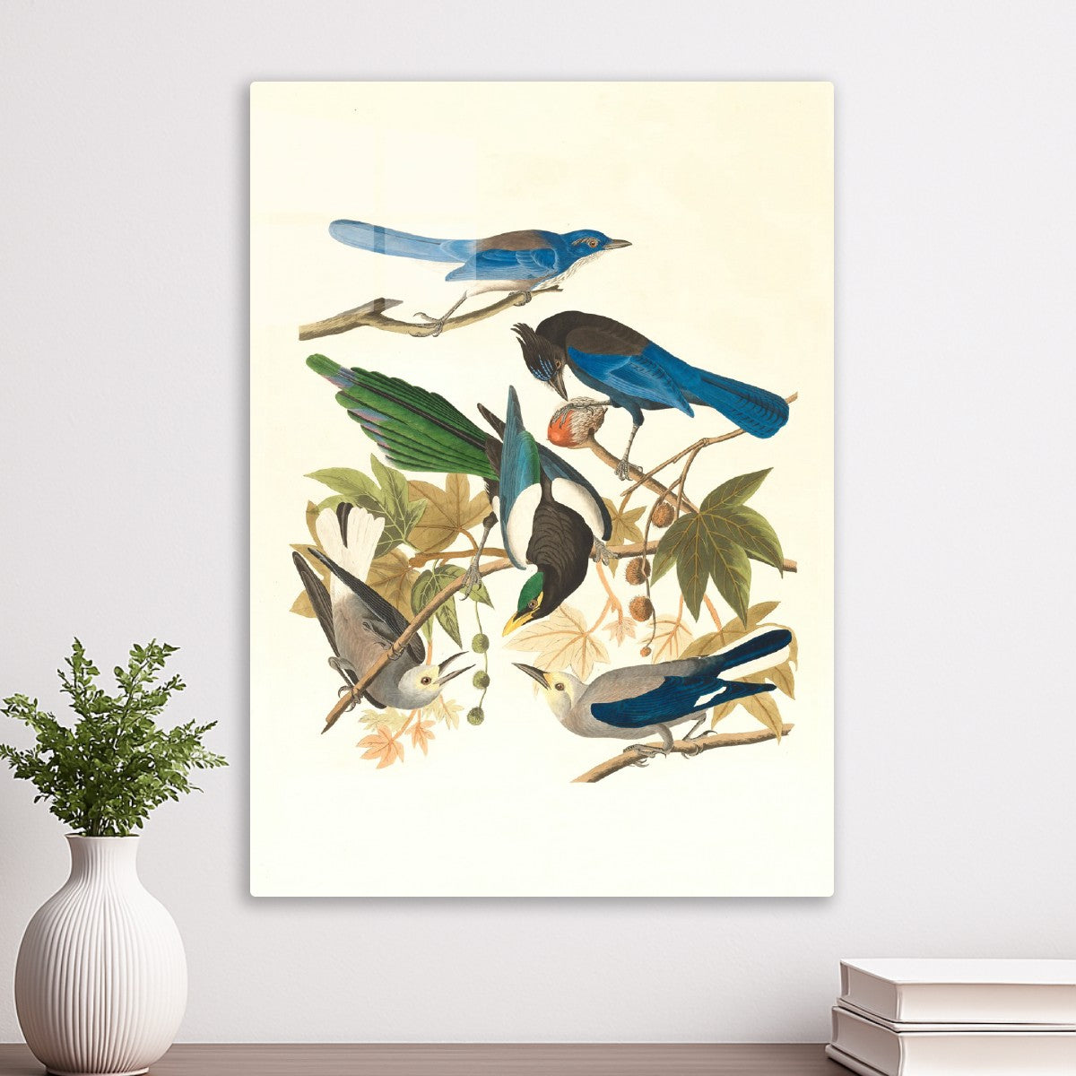 A Symphony of Feathers