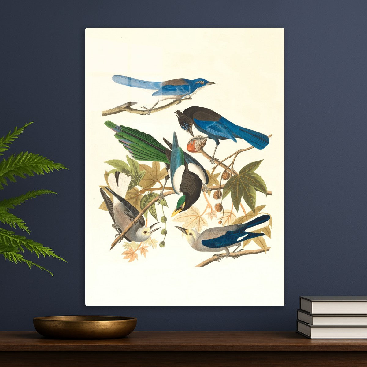 A Symphony of Feathers