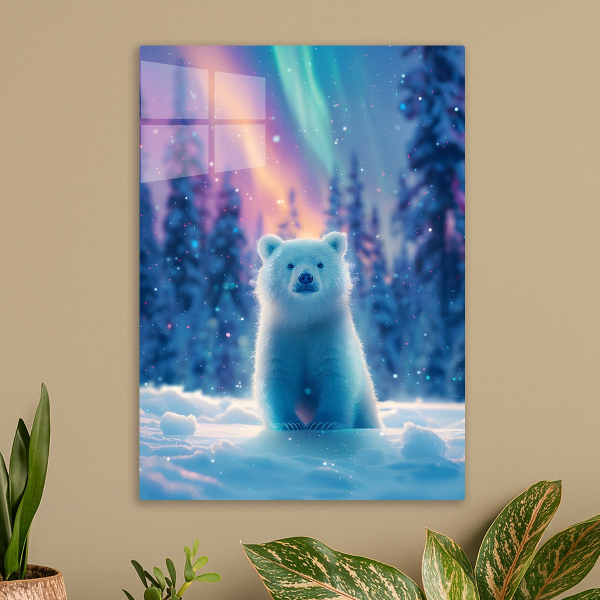 A Beary Magical Night aurora