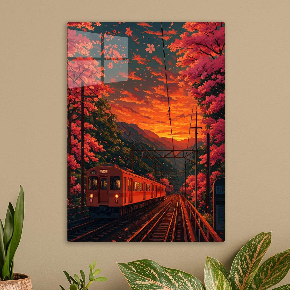 Sakura Express at Sunset