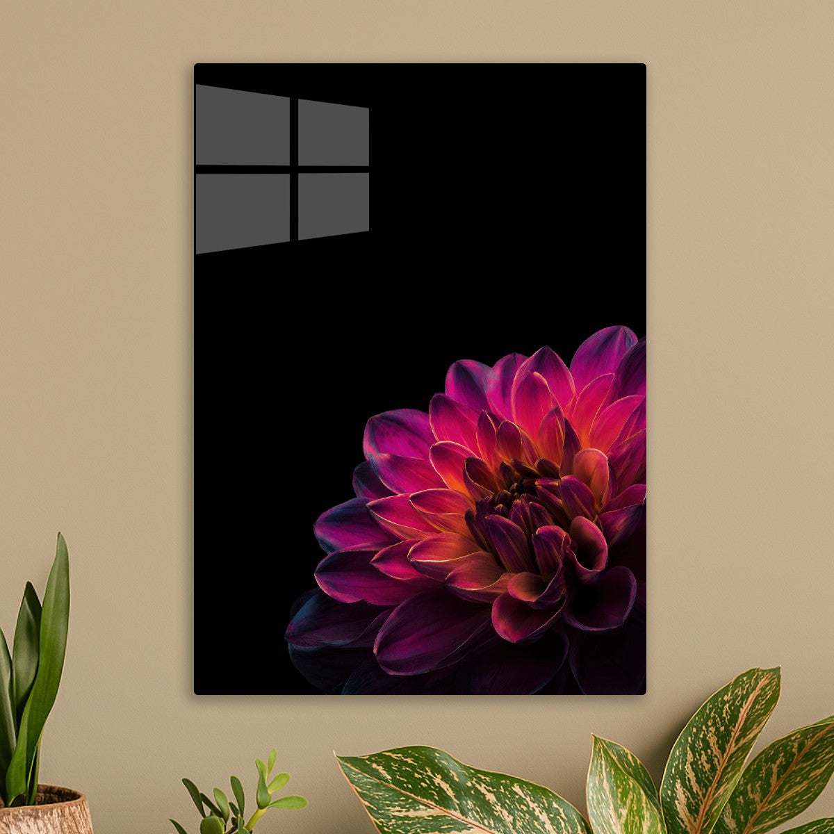 Dark Gradient Color Flower