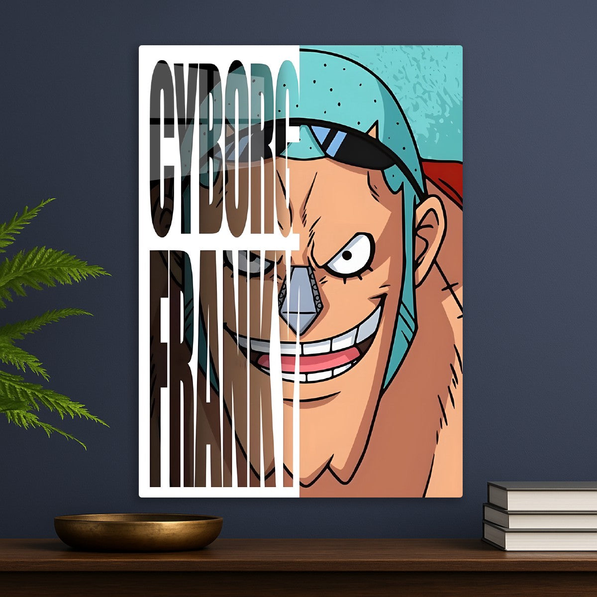 Cyborg Franky, One Piece