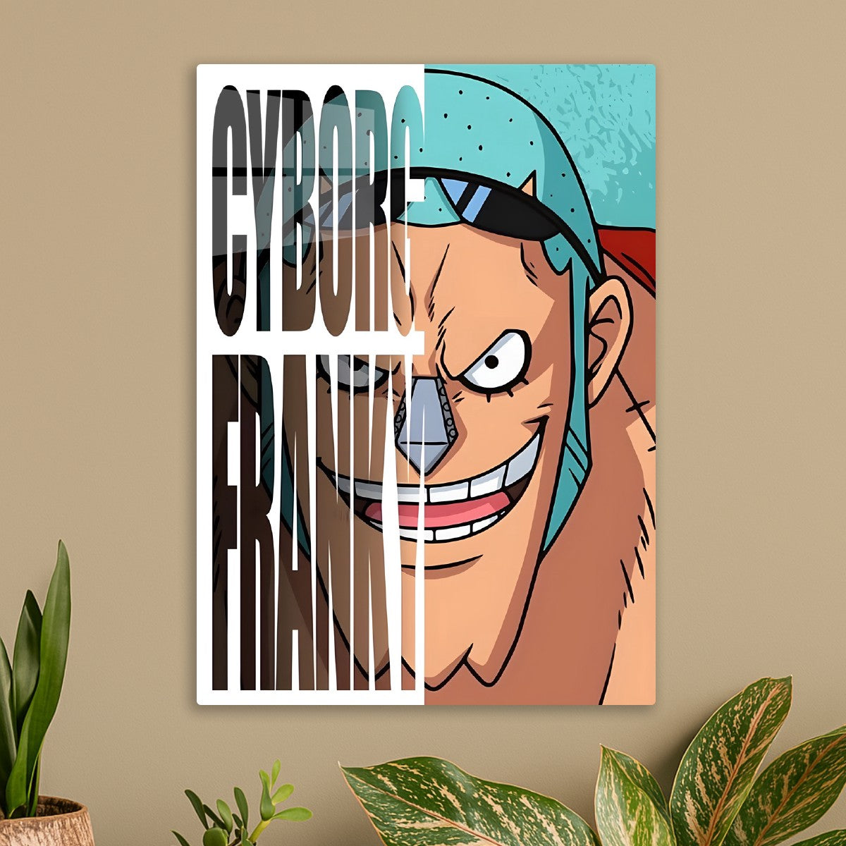Cyborg Franky, One Piece