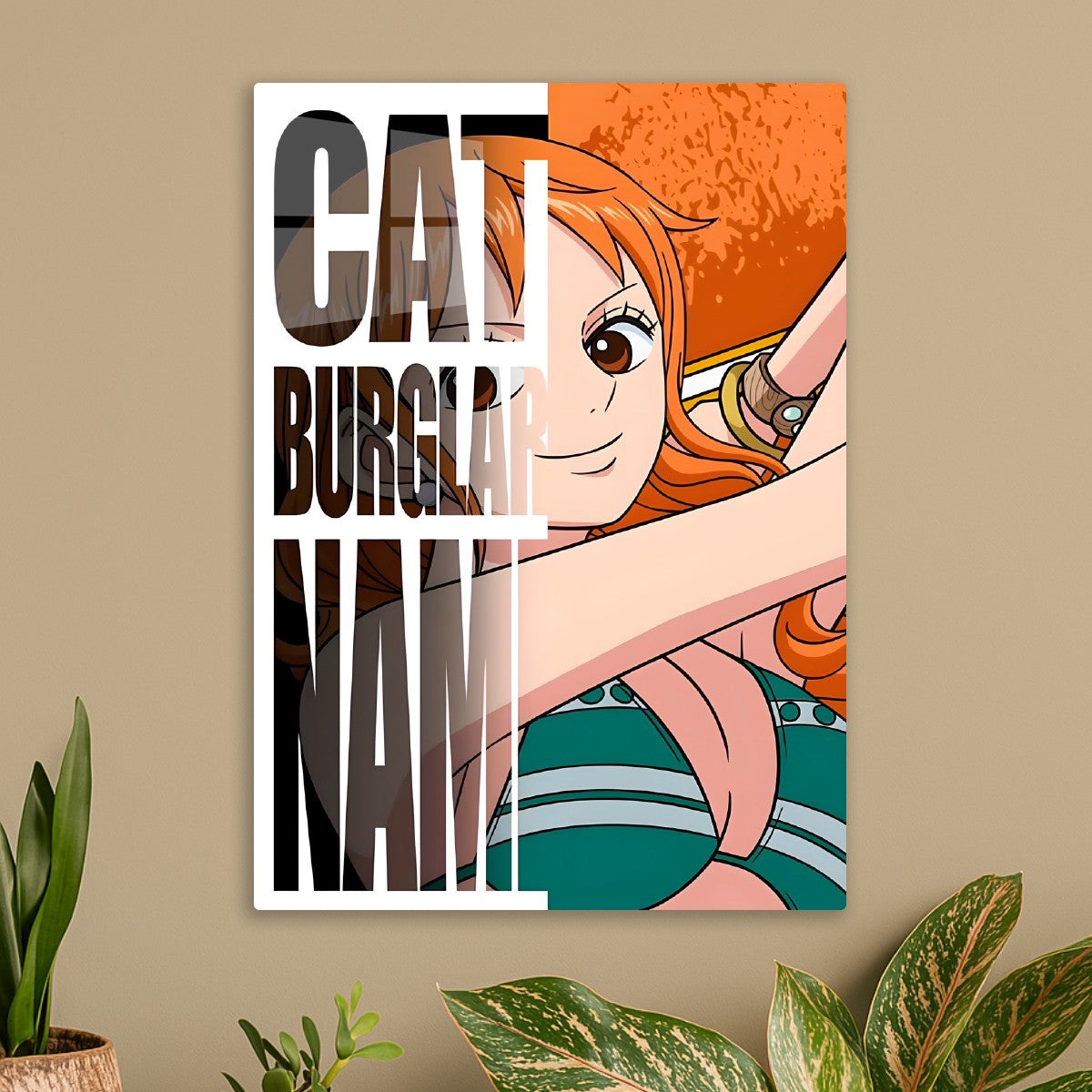 Cat Burglar Nami, One Piece