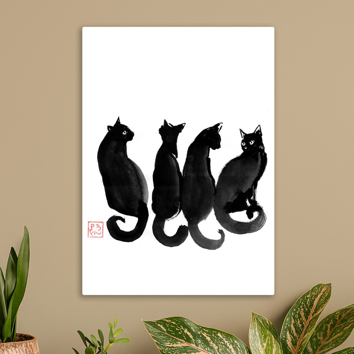 4 black cats