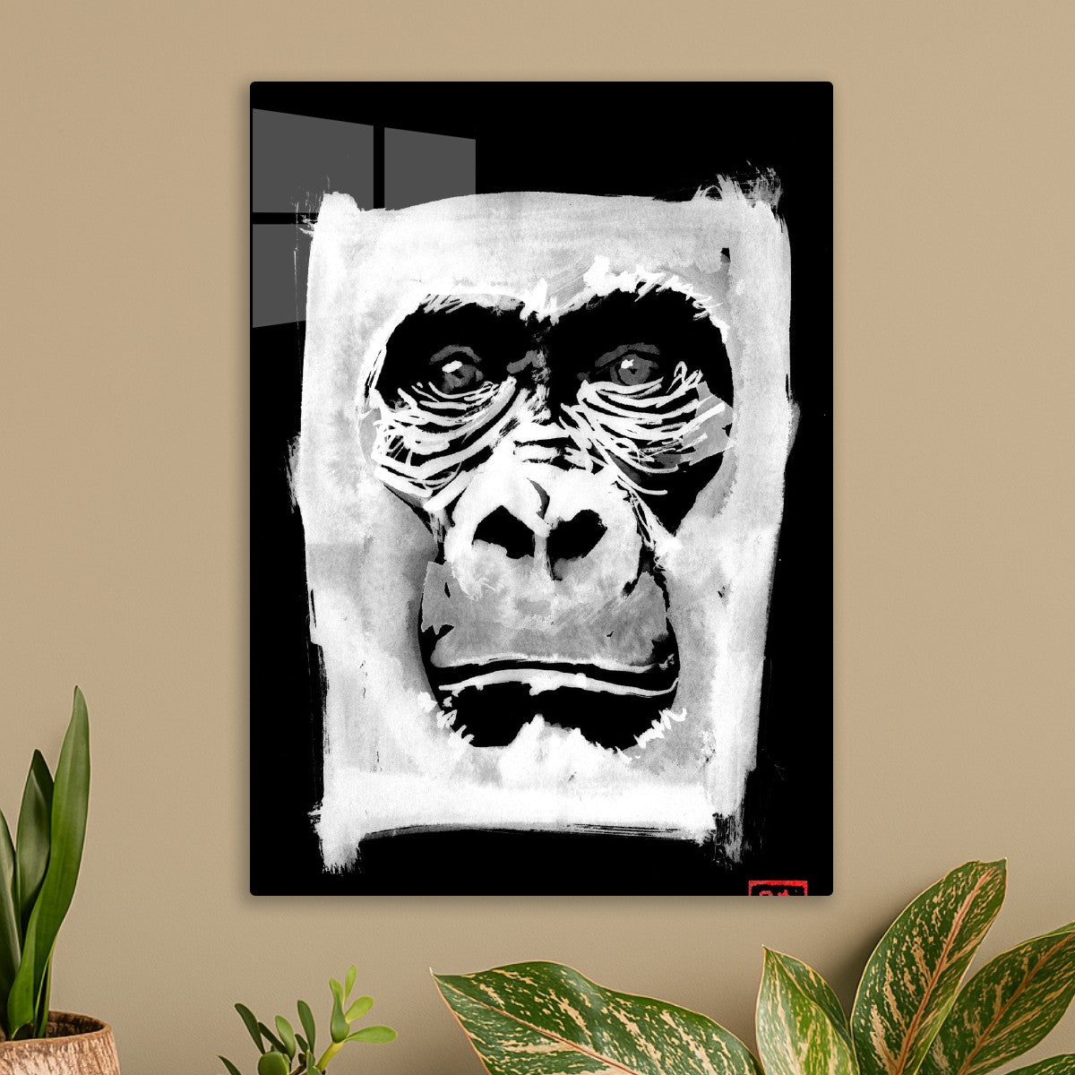 Gorilla in white