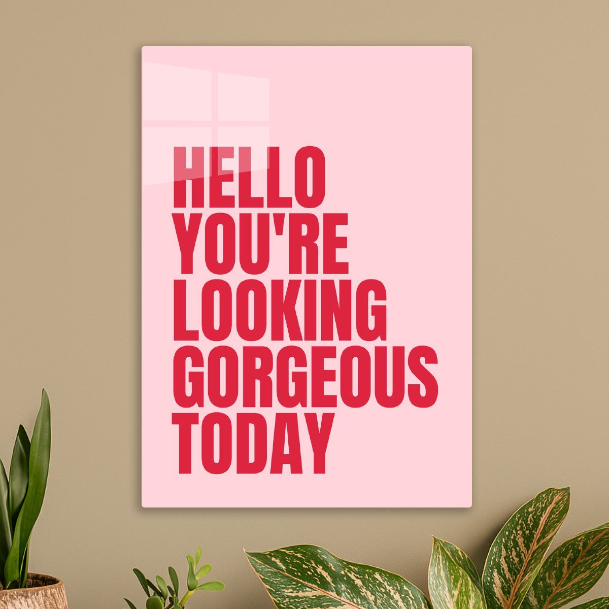 Hello You're Looking Gorgeous