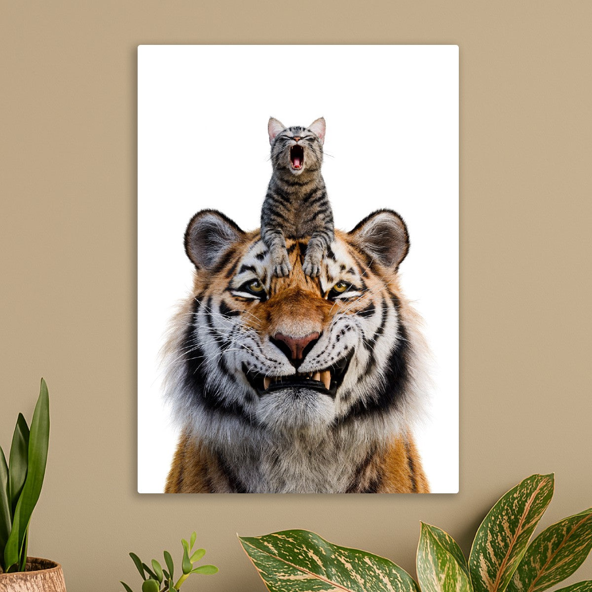 Tiger & Cat Portrait