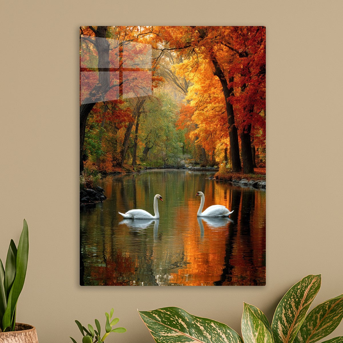 Swans in Autumn