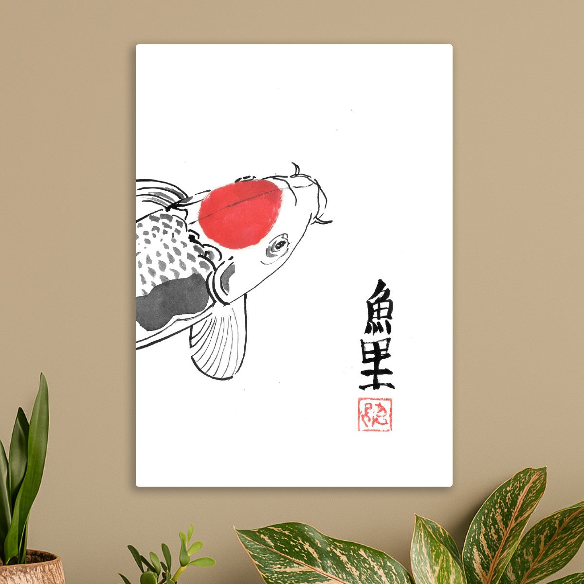 Carp koi