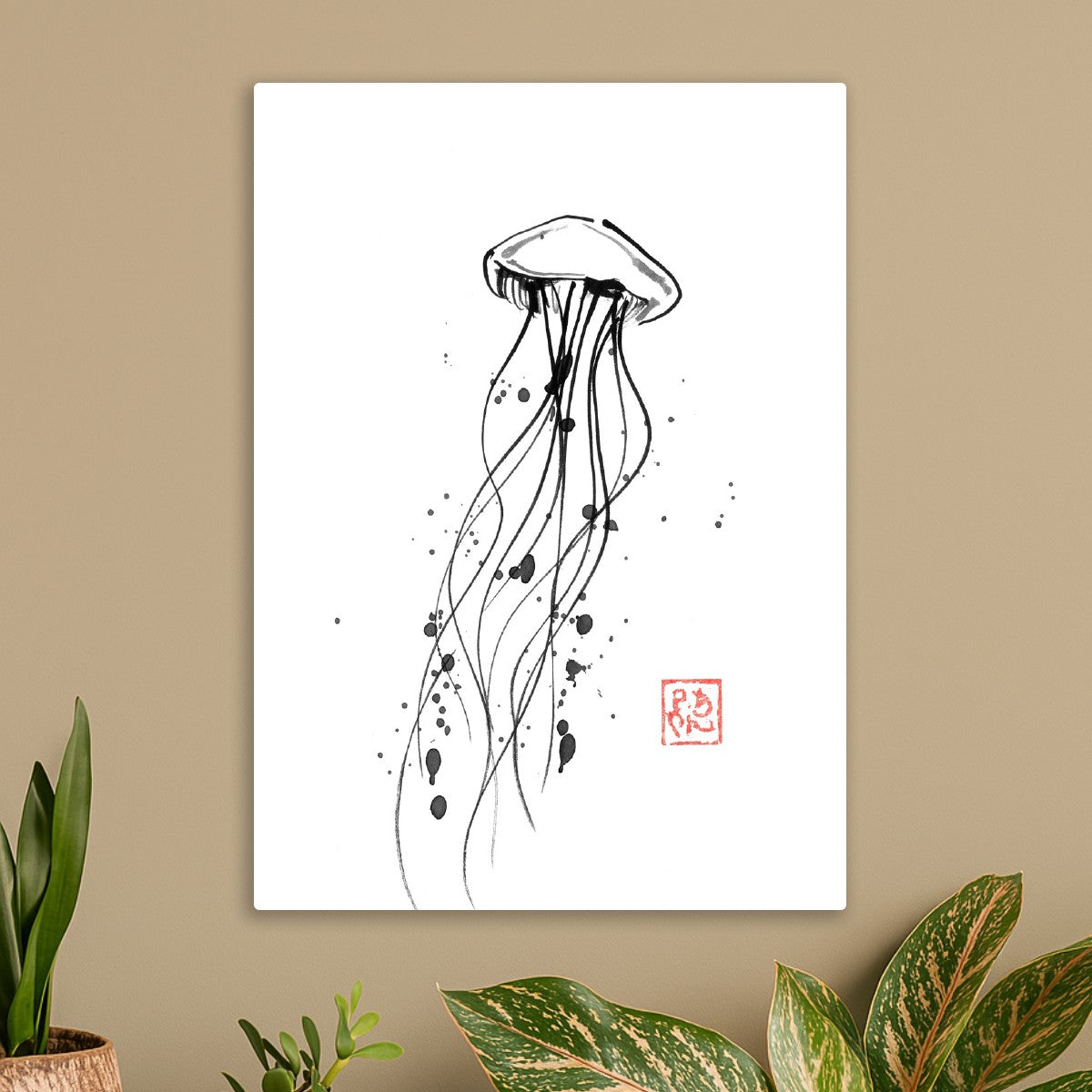 Jellyfish