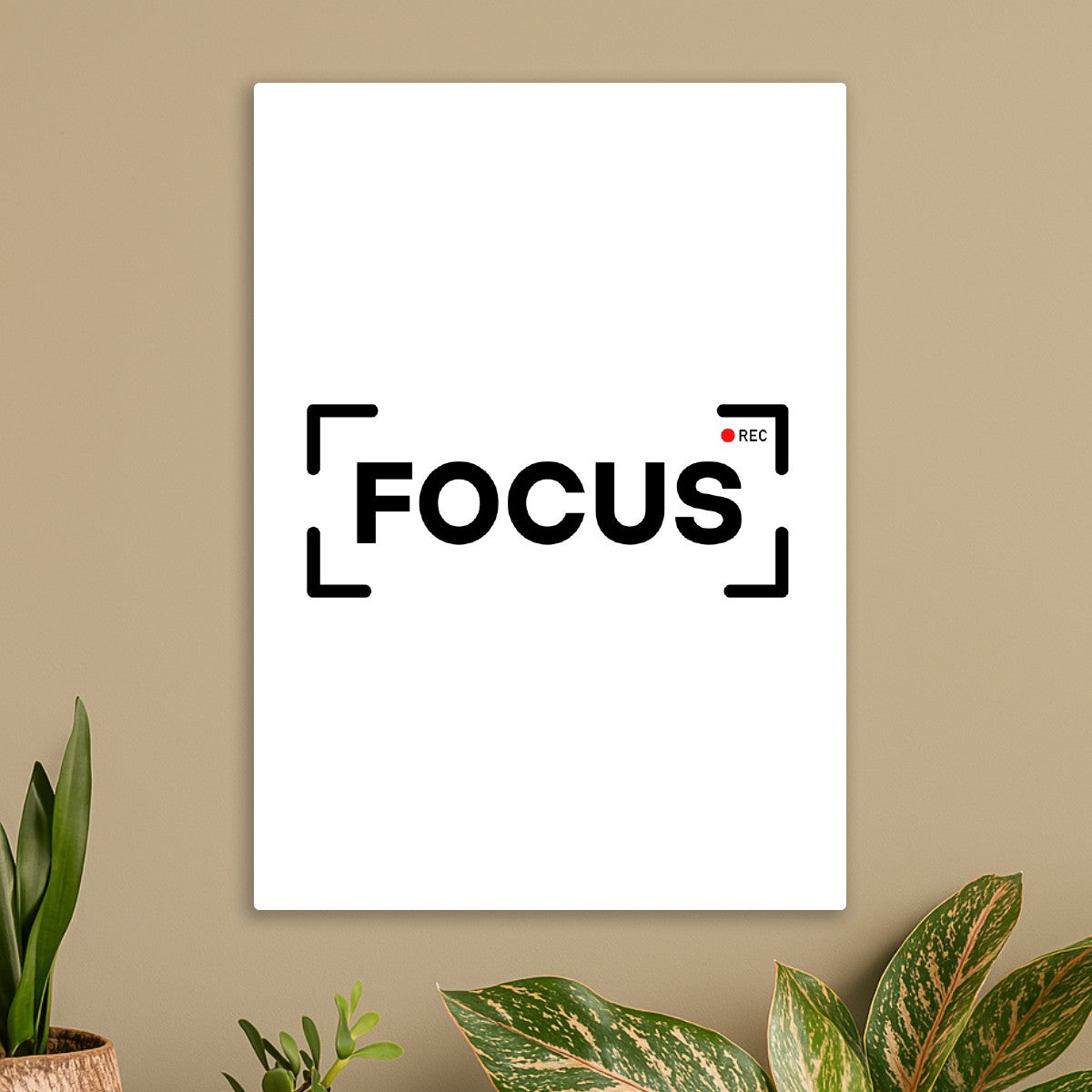 FOCUS