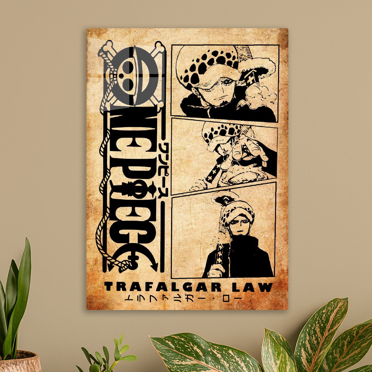 Trafalgar D. Water Law, One Piece