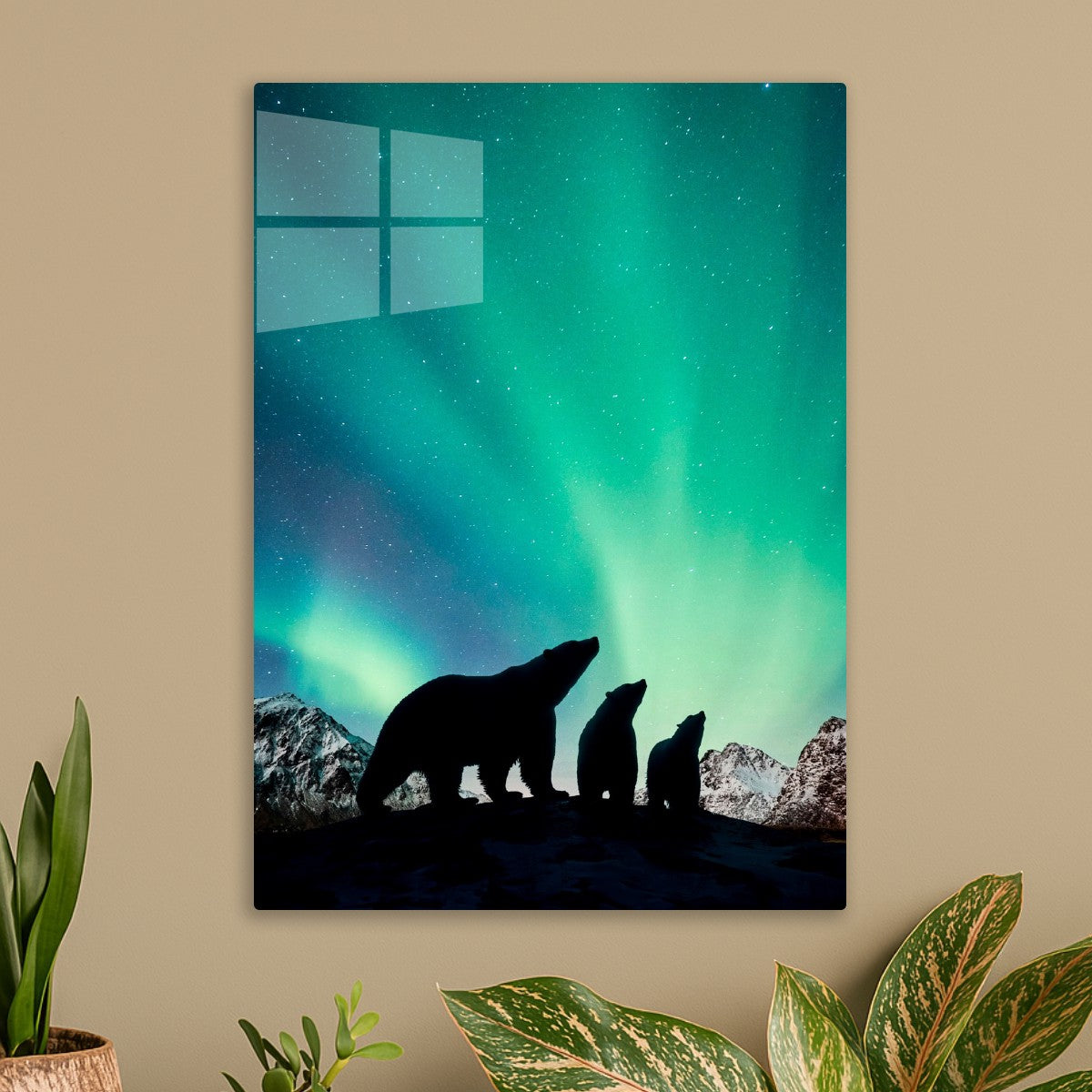 Polar Bears under Aurora 