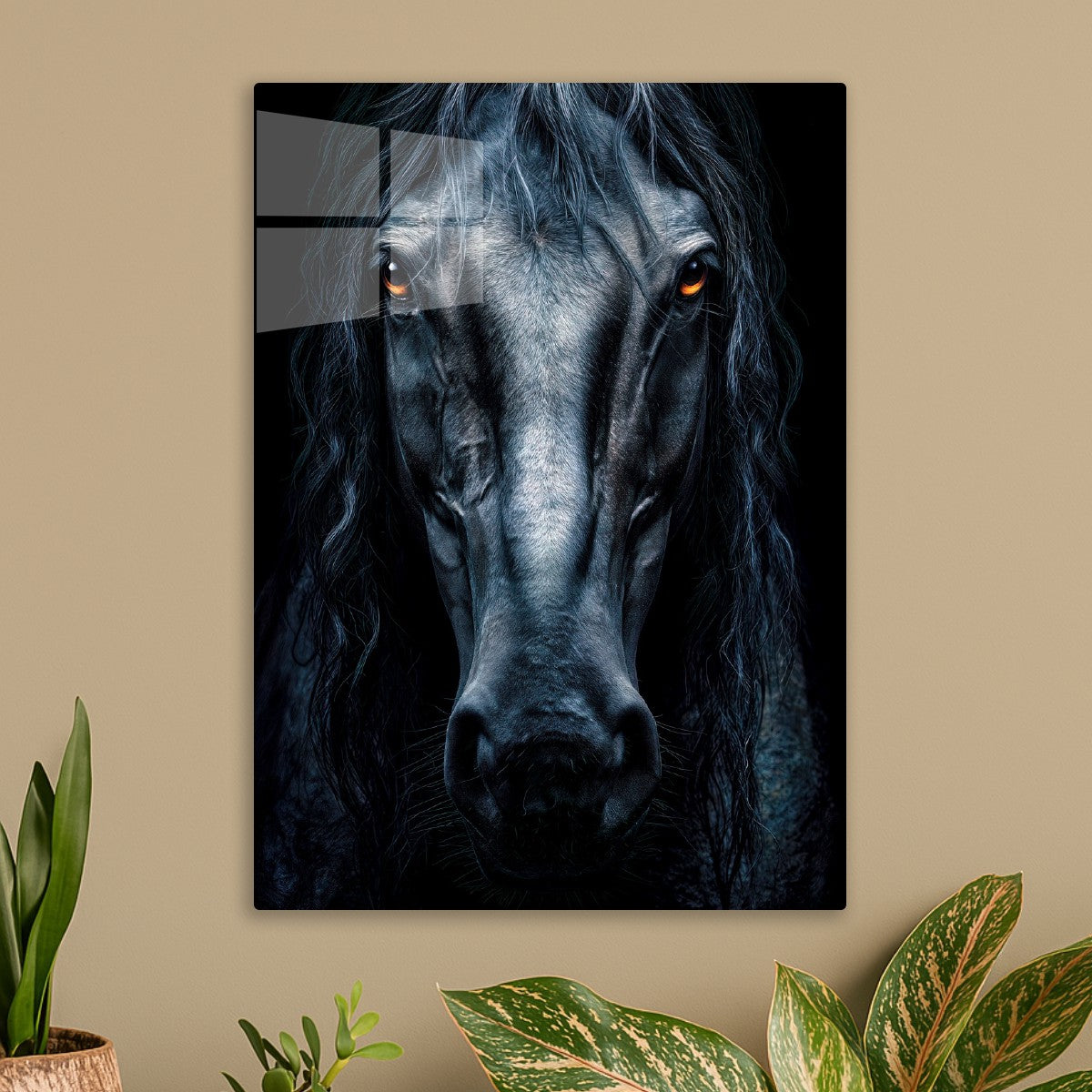 Black Horse Portrait