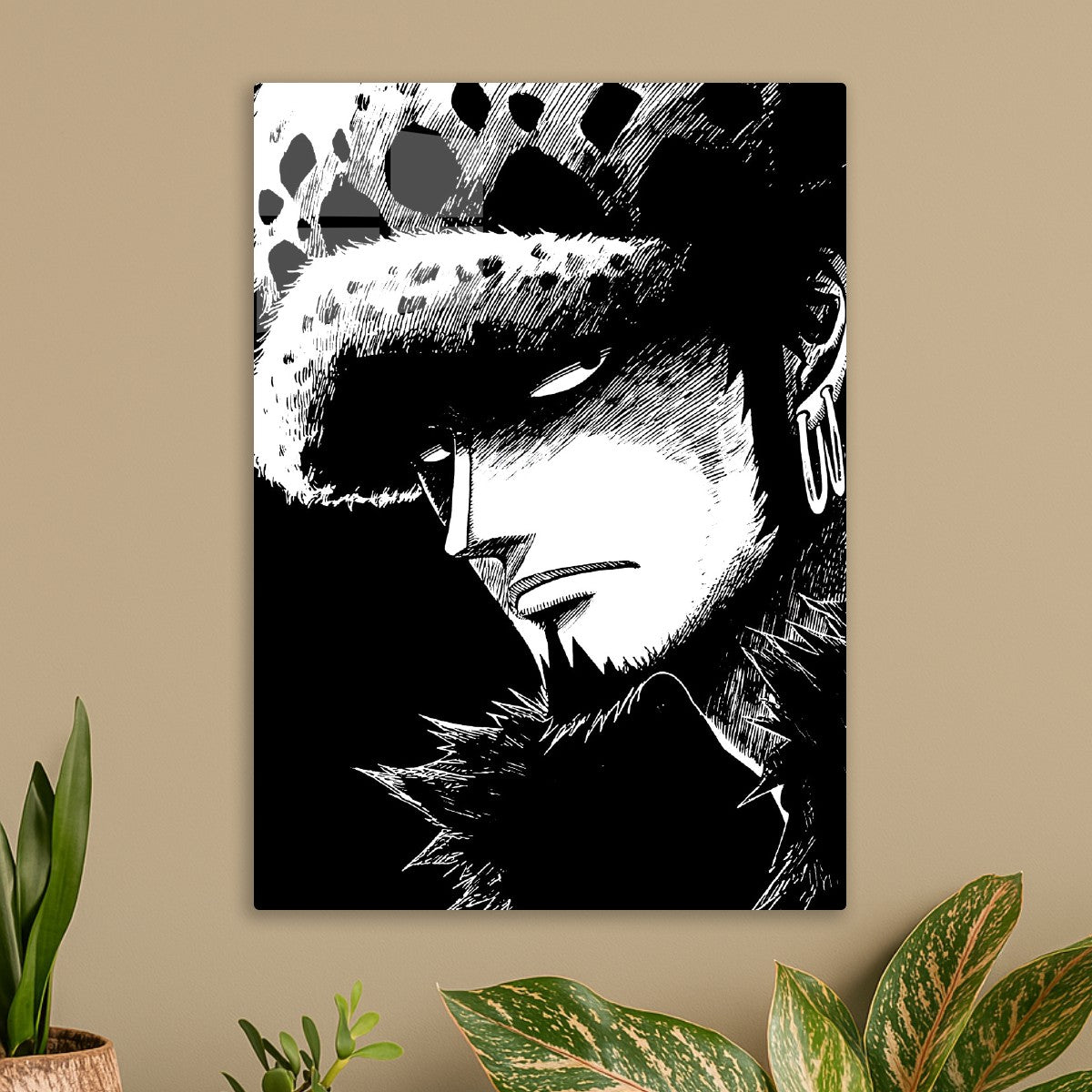 Trafalgar D. Water Law, One Piece