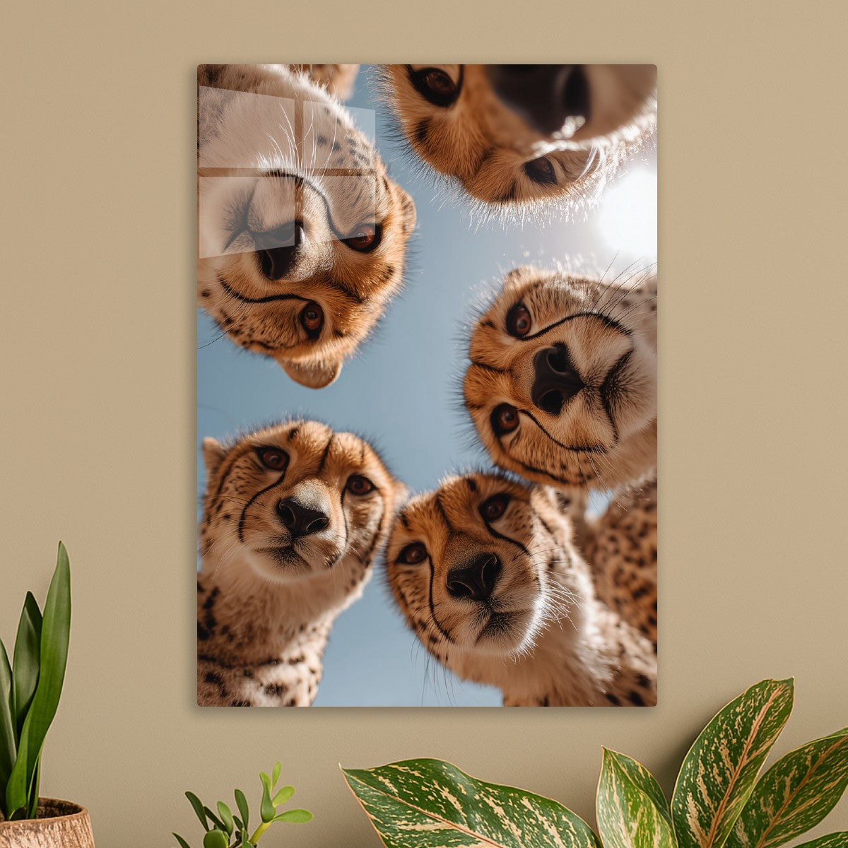 The Moments Belly Rubs