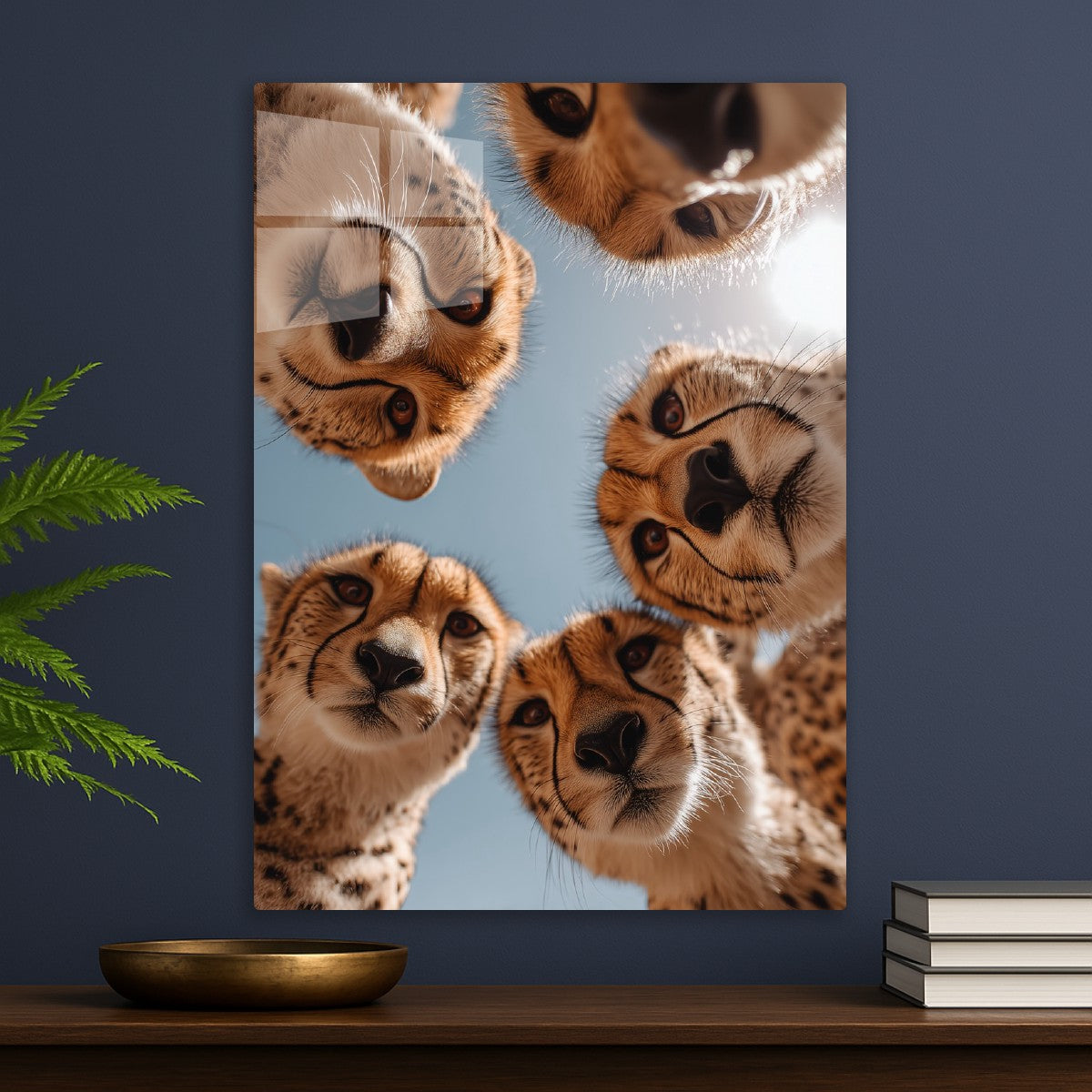 The Moments Belly Rubs