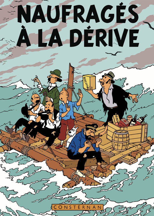 Tin Tin Book Cover