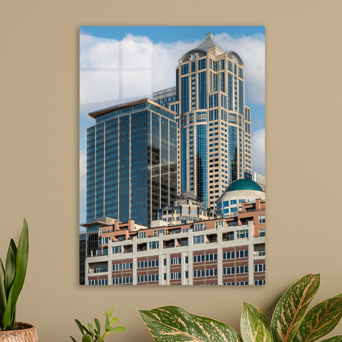 Brick Roots and Glass Dreams