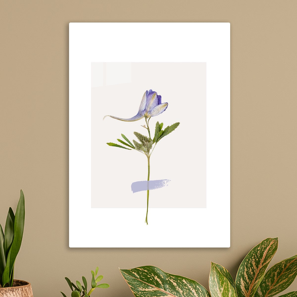 Violet Bloom – Minimal Botanical