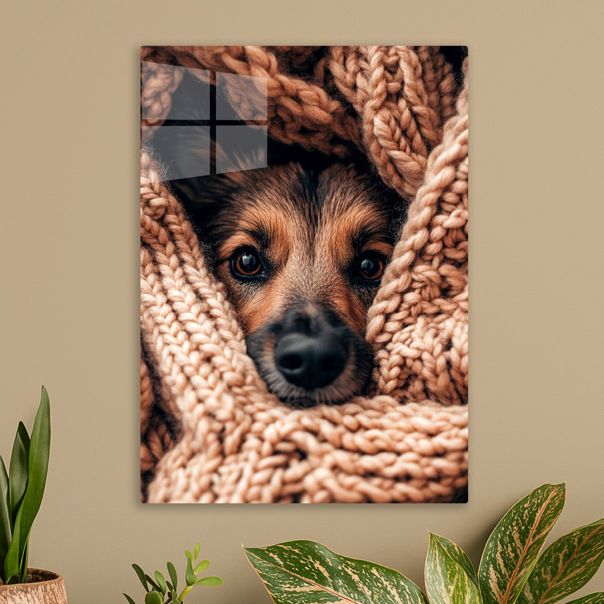 Dog in cozy wool