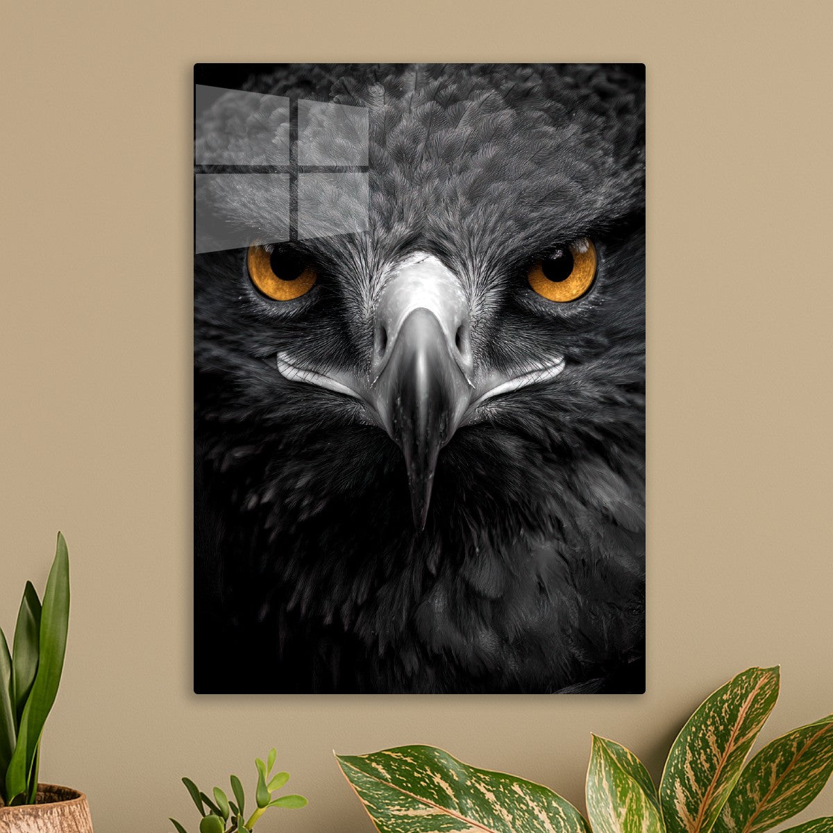 Majestic Eagle Stare