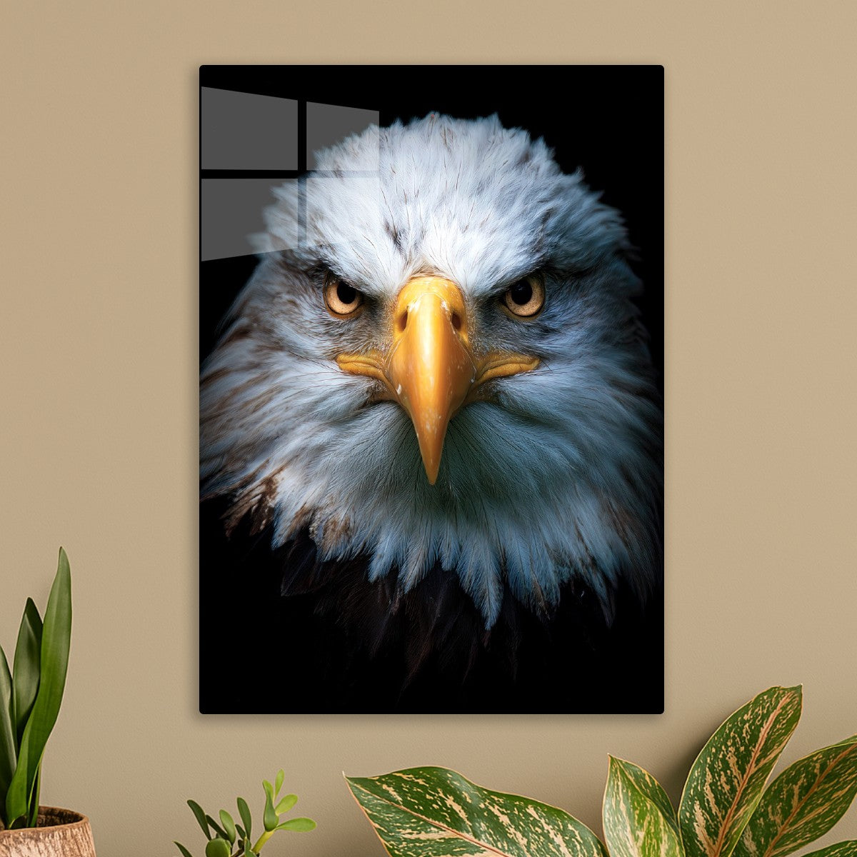 Bald Eagle Portrait