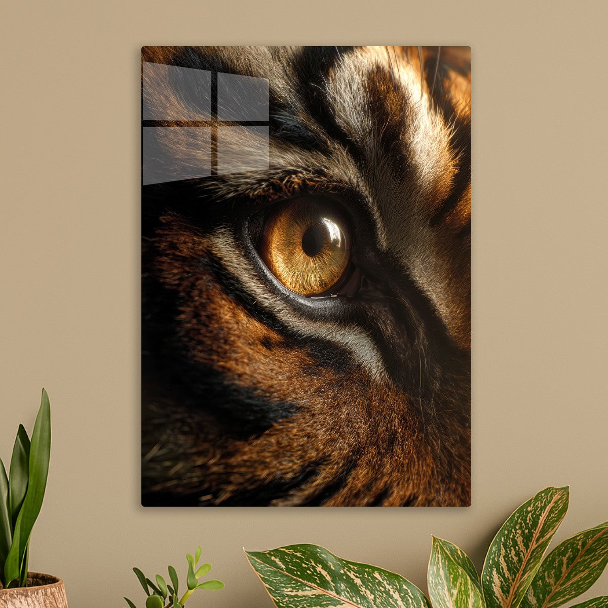 Tiger's Eye Close Up