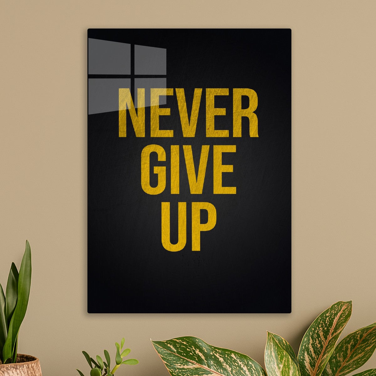 Never Give Up