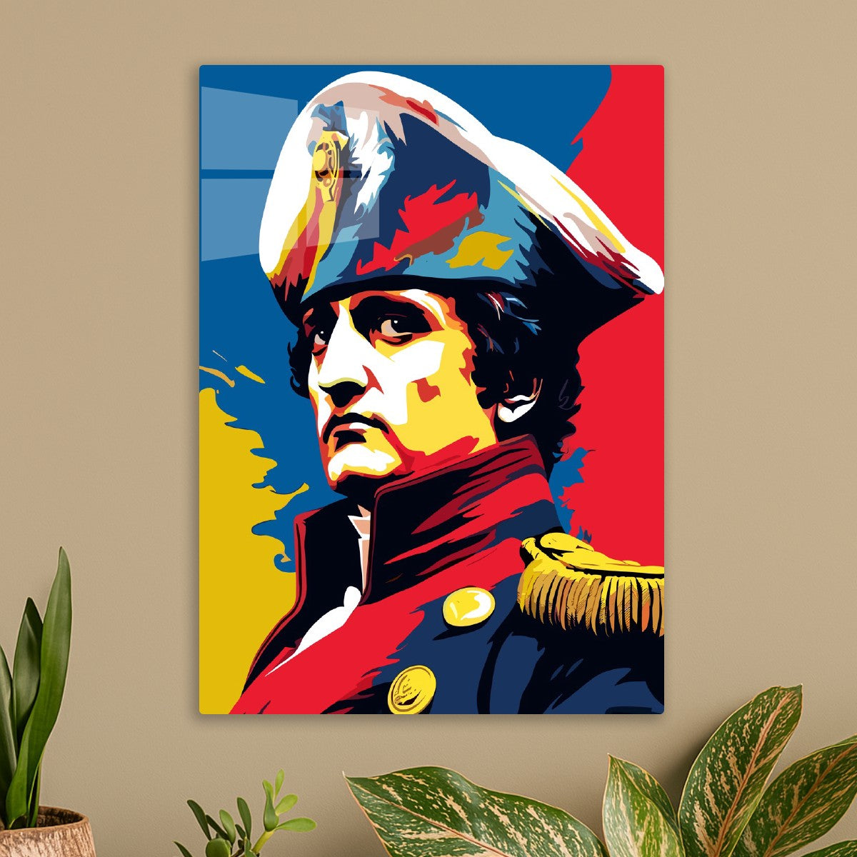 Admiral of the Napoleon Bonaparte