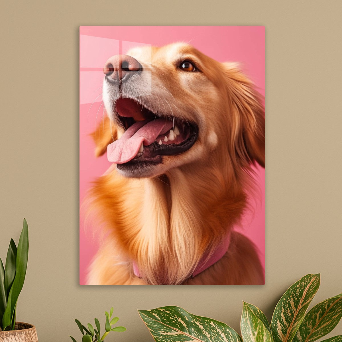 Say 'Cheese'... or 'Bacon!