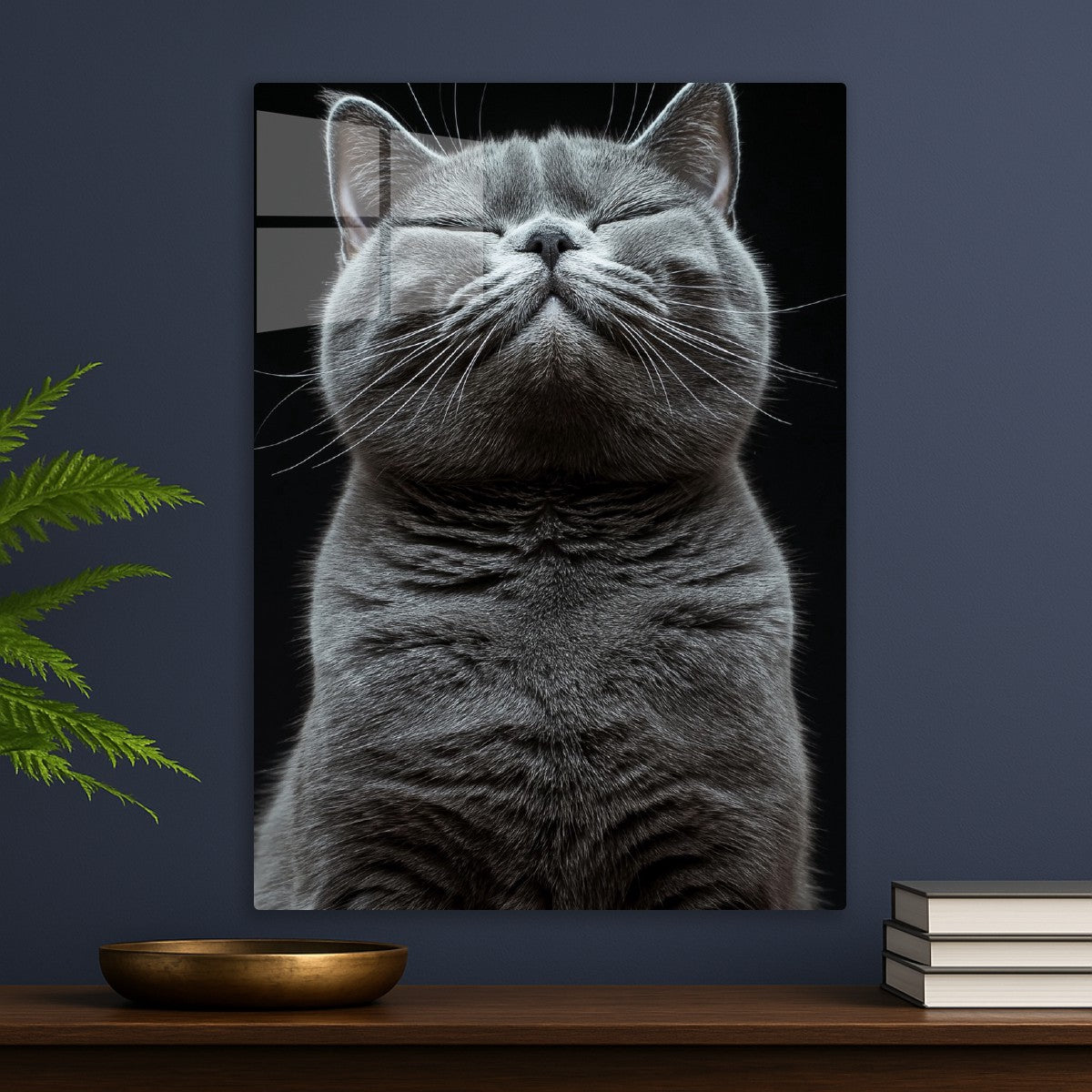 Ascending to Meow-vana