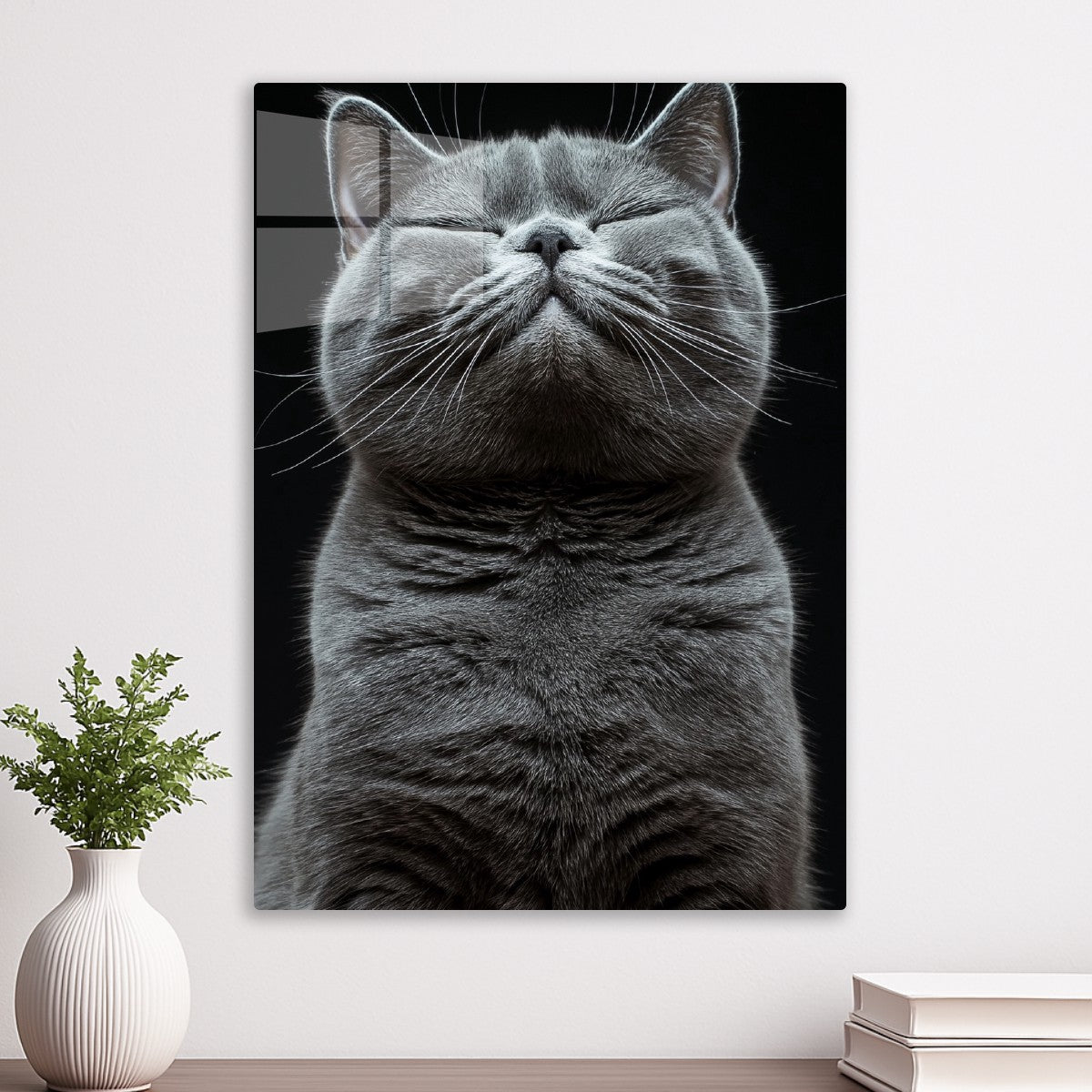 Ascending to Meow-vana