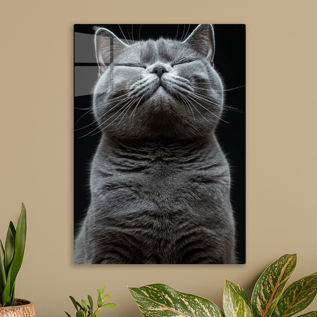 Ascending to Meow-vana