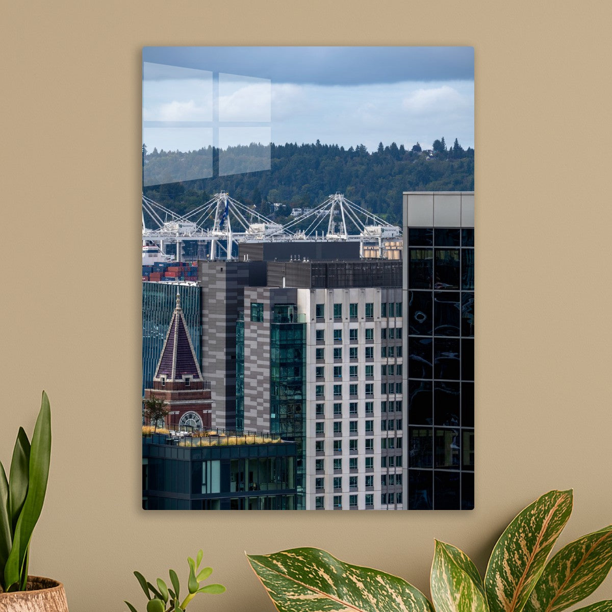 Seattle Port Shadows