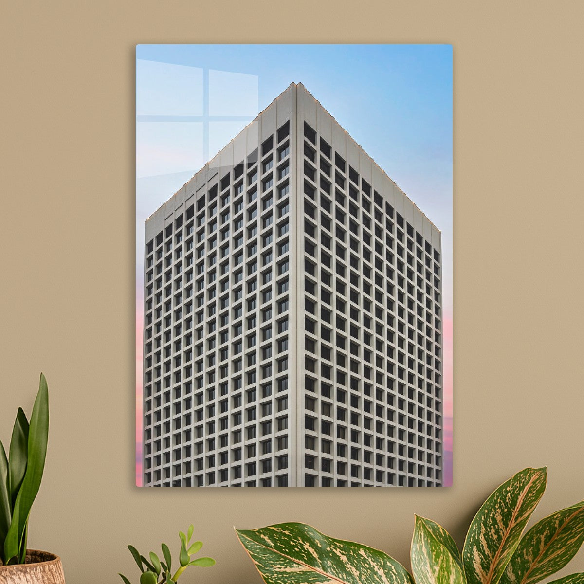 Blush Morning Heights