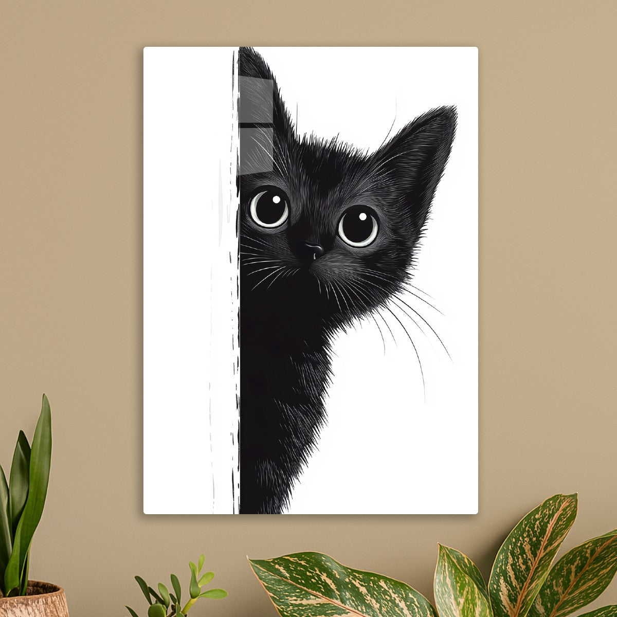 The Black cat watching is Watching