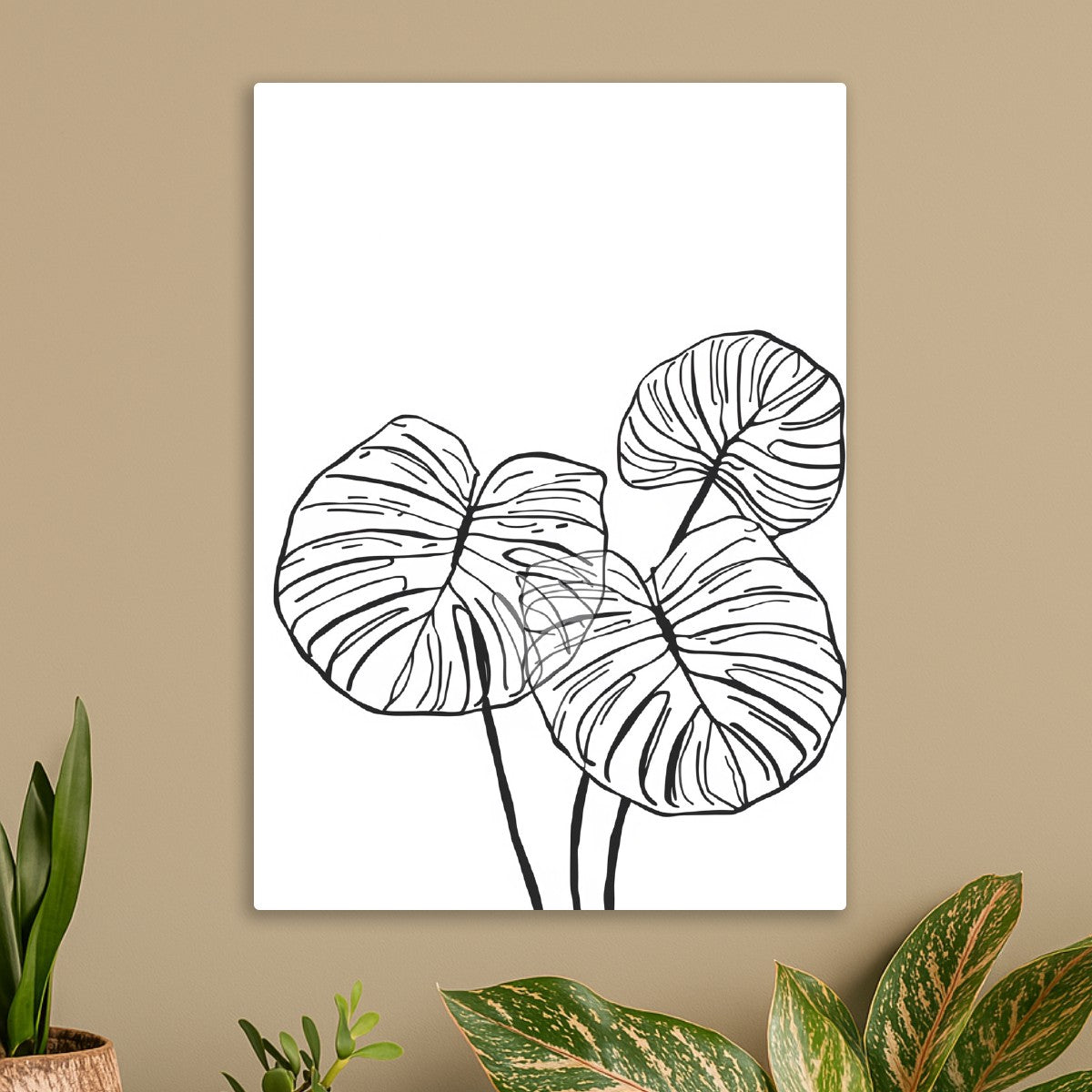 Botanical illustration