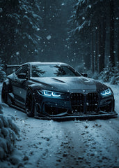 Mysterious BMW M4 in a Snowy F