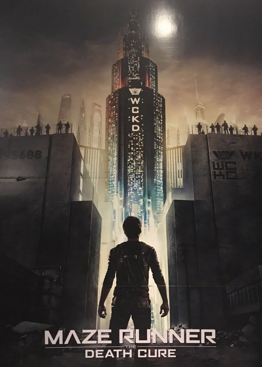 the MAZE RUNNER
