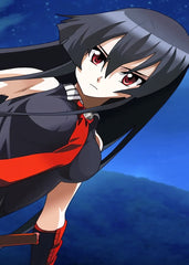 Akame ga Kill Night Raid