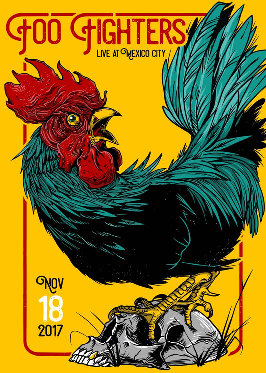 Foo Fighters Live at Mexico